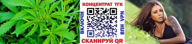 как найти   OMG маркетплейс  ТГК Wax  Лахденпохья 