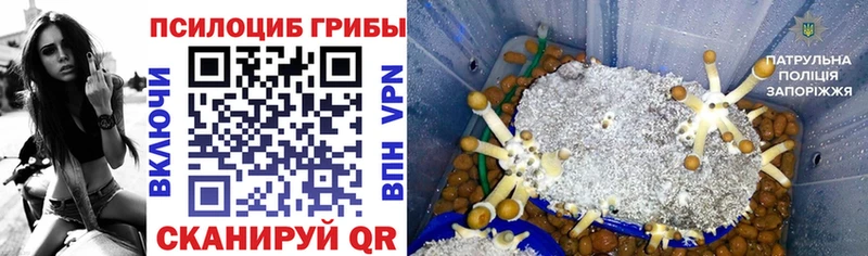Галлюциногенные грибы прущие грибы  закладки  darknet официальный сайт  Лахденпохья 